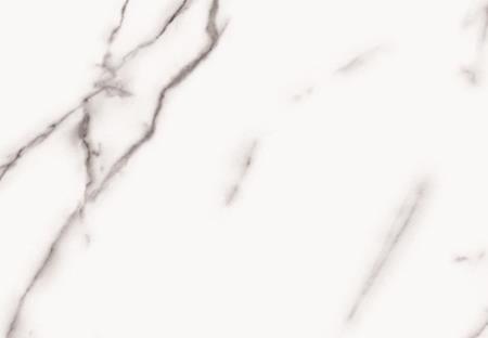 經(jīng)典魚肚 FK04-TB003-1